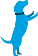 Main Logo